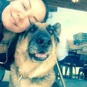 Meet your Posher, Falla